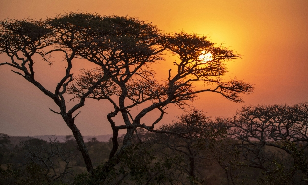 sunset safari trail view