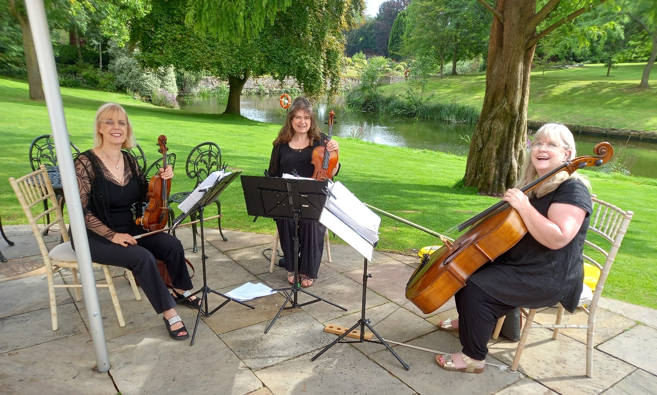 Rose Gold String Trio